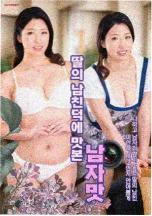 抗战剧《亮剑》国产经典剧集海报